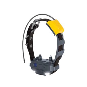 DOGTRA Pathfinder 2 Mini Gps Collar